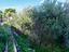 Immagine 10
