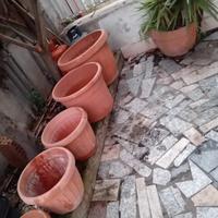 5 vasi più  pianta