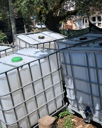 cisterne da 1000 litri pulite lavate