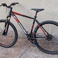 BiCI MOUNTAIN BIKE  MTB TAGLIA XL RUOTE 29