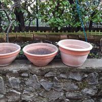 Vasi terracotta 