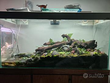 acquario 250 litri CIANO