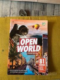 OPEN WORLD italian edition B1