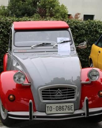 Citroen 2cv special 