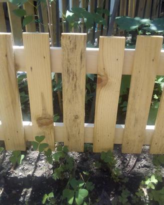 Piccole recinzioni shabby chic e serre / fiorifere