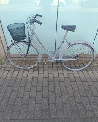 bici con cestino 
