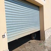 Saracinesche elettriche