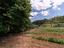 Immagine 30