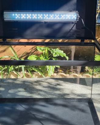 acquario anche completo 