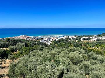 Appartamento per 4 persone