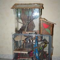 Gabbia per Scoiattolo