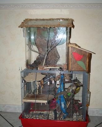 Gabbia per Scoiattolo