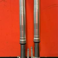 Tubi forcella completi per Buell XB marca Showa