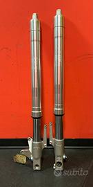 Tubi forcella completi per Buell XB marca Showa