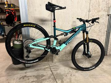 Orbea risea