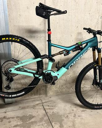 Orbea risea