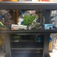 Acquario con mobiletto 