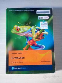 IL WALKER -  Corso di fisica