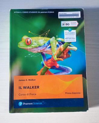 IL WALKER -  Corso di fisica