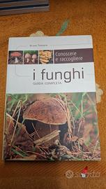 I Funghi guida completa 