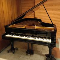 Pianoforte a coda Yamaha no. 20