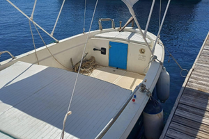 Gozzo navalplasica 595 fishing