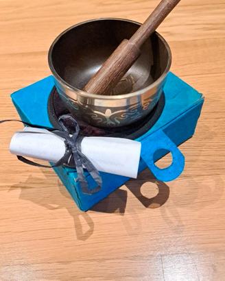 Singing bowl con custodia, cuscinetto e battente