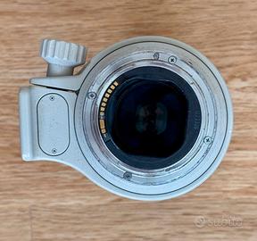 Canon EF 70-200mm f/2.8 L USM