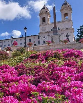Attività / Licenza di 130 m² a Roma