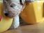 Immagine 4