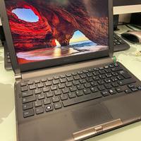 Portatile Sony Vaio