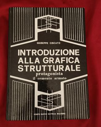 introduzione alla grafica strutturale 