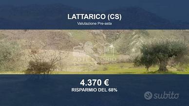 Immobile in asta di 8400 m² a Lattarico