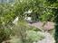 Immagine 28