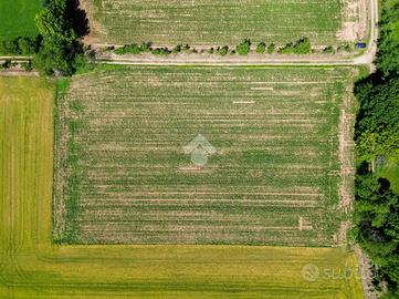 TER. AGRICOLO A INZAGO