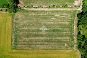 TER. AGRICOLO A INZAGO