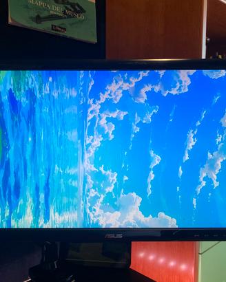 Monitor asus 24 60hz