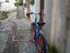 Immagine 2