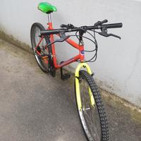 mountain Bike 26 pollici 