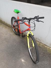 mountain Bike 26 pollici 