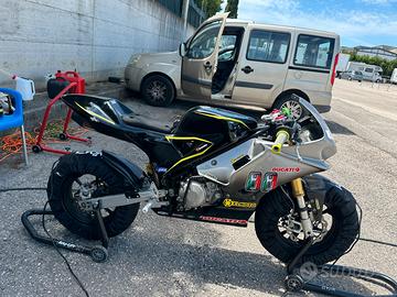 Bucci minigp 190 daytona 12 pollici