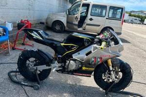 Bucci minigp 190 daytona 12 pollici
