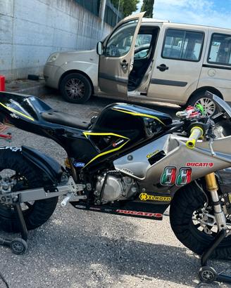 Bucci minigp 190 daytona 12 pollici