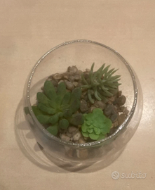 Piante finte in terrario