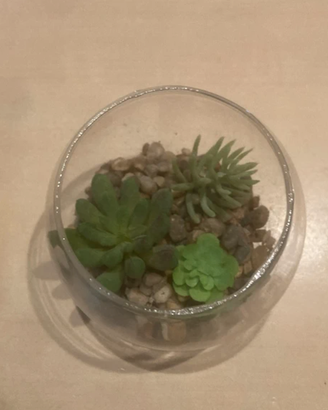 Piante finte in terrario