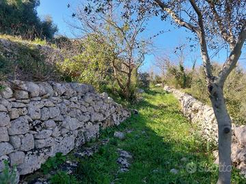 Terreno - Modica