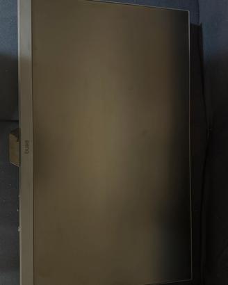 Monitor BenQ Mobiuz EX240N 165hz 1ms