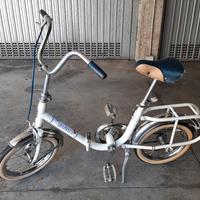 GRAZIELLA CARNIELLI JUNIOR 