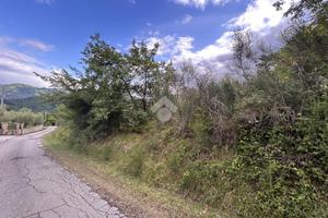 TER. AGRICOLO A GALLINARO