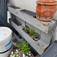 diversi tipi di vasi